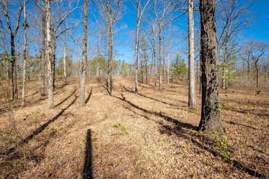 10 acres with excellent development potential. Portions of the - photo 31