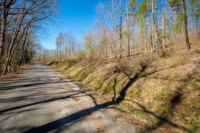 10 acres with excellent development potential. Portions of the - photo 32
