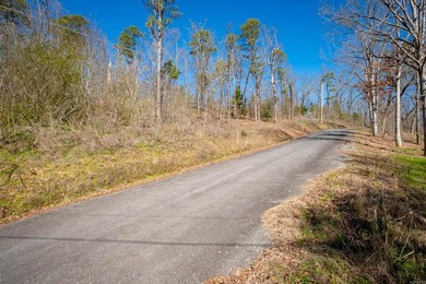 10 acres with excellent development potential. Portions of the - photo 33
