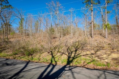 10 acres with excellent development potential. Portions of the - photo 34