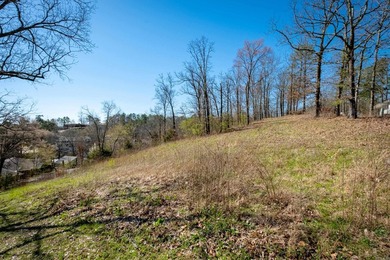 10 acres with excellent development potential. Portions of the - photo 35