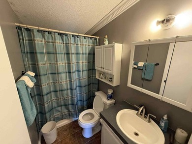 This three-bedroom, two-bathroom haven that has been beautifully - photo 35