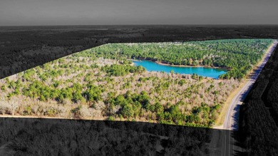 (private lake, pond, coastal) Acreage For Sale in Jefferson Texas
