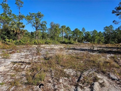 Lehigh Acres Area Lot For Sale in Lehigh Acres Florida