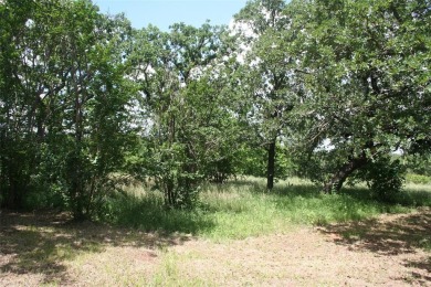 Lake Acreage For Sale in Palo Pinto, Texas