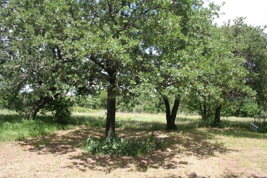 PRICE REDUCTION!!! BEAUTIFUL property near the lake! This - photo 3