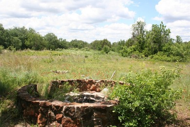 PRICE REDUCTION!!! BEAUTIFUL property near the lake! This - photo 5