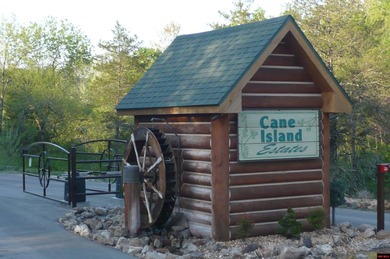 White River Lot For Sale in Flippin Arkansas