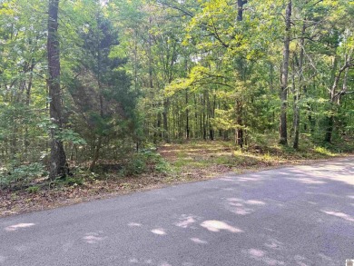 Lake Acreage For Sale in New Concord, Kentucky