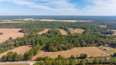 (private lake, pond, coastal) Acreage For Sale in Moultrie Georgia