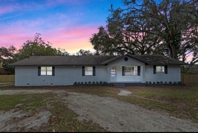 Lake Home For Sale in Fruitland Park, Florida