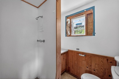 Lake Belle Taine Opportunity! Bring your vision and finish this - photo 17