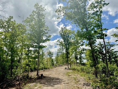 An exceptional opportunity to build your dream home in coveted - photo 22
