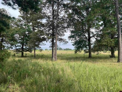 (private lake, pond, creek) Acreage For Sale in Yellville Arkansas