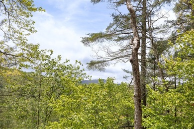 Experience elevated mountain living in this beautifully restored - photo 18