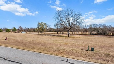 Lake Lot For Sale in Gordonville, Texas