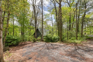 Experience elevated mountain living in this beautifully restored - photo 57