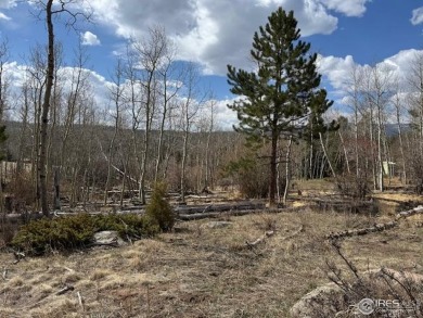 Lake Acreage For Sale in Red Feather Lakes, Colorado