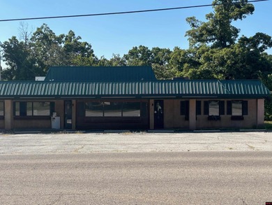Bull Shoals Lake Commercial For Sale in Bull Shoals Arkansas