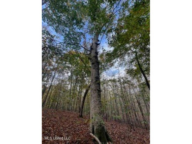 (private lake, pond, creek) Acreage For Sale in Ashland Mississippi