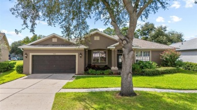 Lake Home For Sale in Riverview, Florida