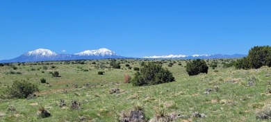 Beautiful mountain views and easy access! Available now is this