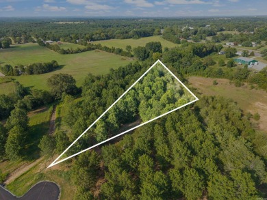 Lake Lot For Sale in Guy, Arkansas