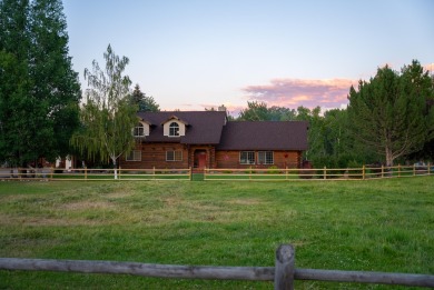 Salmon River - Custer County Home For Sale in Challis Idaho