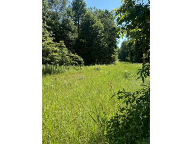 Diamond Lake - Newaygo County Acreage For Sale in White Cloud Michigan