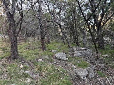 Lake Lot For Sale in Possum Kingdom Lake, Texas