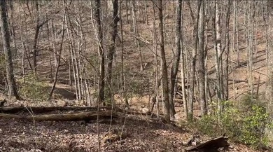 Lake Sconti Lot For Sale in Jasper Georgia