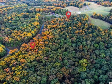 (private lake, pond, creek) Acreage For Sale in Murray Kentucky