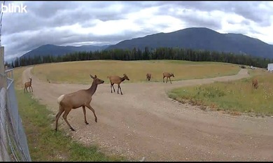 Custom built 2,820 sq. ft., 4 bedroom, 3 bath home on a peaceful - photo 24
