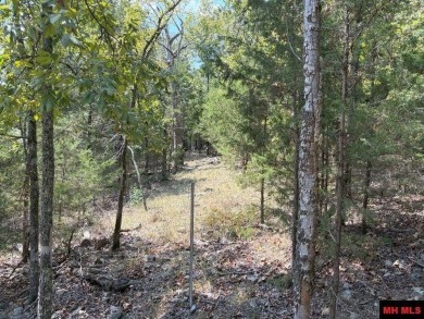 Bull Shoals Lake Lot For Sale in Flippin Arkansas