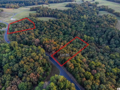 This lot is located in Western Shores subdivision, a waterfront - photo 5
