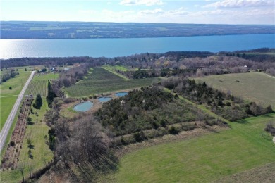 Seneca Lake Acreage For Sale in Hector New York