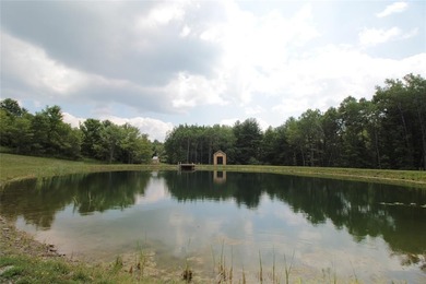 (private lake, pond, coastal) Acreage For Sale in Binghamton New York