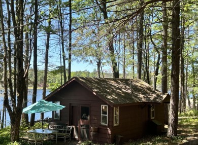 Lake Home For Sale in Gaylord, Michigan