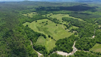 Lake Acreage For Sale in Oden, Arkansas