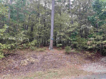 Lake Granada Lot For Sale in Hot Springs Village Arkansas