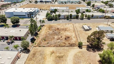 18175 collier - photo 11