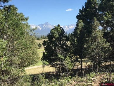 Todd R Schroedel, United Country Sneffels Realty, C:,,: - photo 1