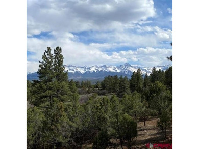 Todd R Schroedel, United Country Sneffels Realty, C:,,: - photo 4