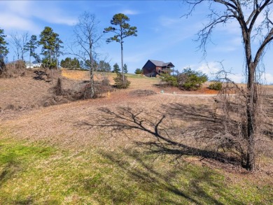 Gated Cherokee Lake Access Lot - photo 2
