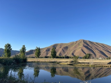 (private lake, pond, creek) Acreage For Sale in Blaine County Idaho