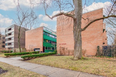 Lake Michigan - Cook County Condo For Sale in Evanston Illinois