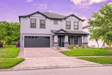 Lake Tohopekaliga Home For Sale in Kissimmee Florida