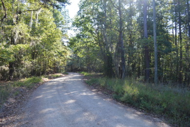 Wooded 1-acre rural lot, near Lake Wateree. - photo 3