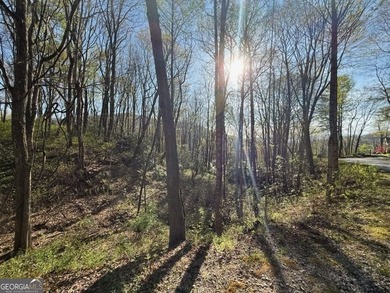 Build your mountain escape on this pristine .49-acre lot located - photo 1