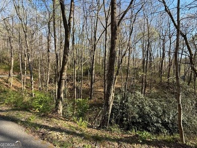 Build your mountain escape on this pristine .49-acre lot located - photo 2